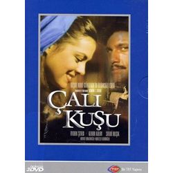 Королек - птичка певчая Calikusu-3dvds-b