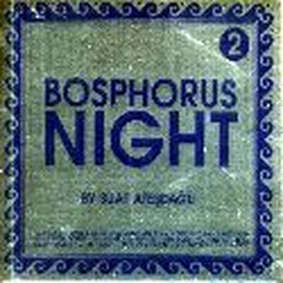 Bosphorus Night 2 by Suat Atesdagli