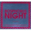 Bosphorus Night by Suat Atesdagli