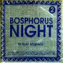 Bosphorus Night 2 by Suat Atesdagli