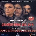 Cemberimde Gul Oya / Серии 1-40 (DVD)