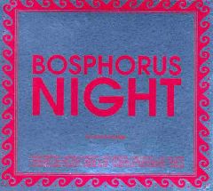 Bosphorus Night by Suat Atesdagli