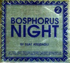 Bosphorus Night 2 by Suat Atesdagli