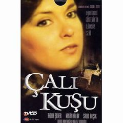 Calikusu ("Королек - птичка певчая")