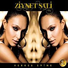 Herkes Evine (2 CD)